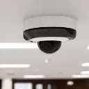 DOME WH 1.webp