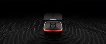 BP BL 1.webp