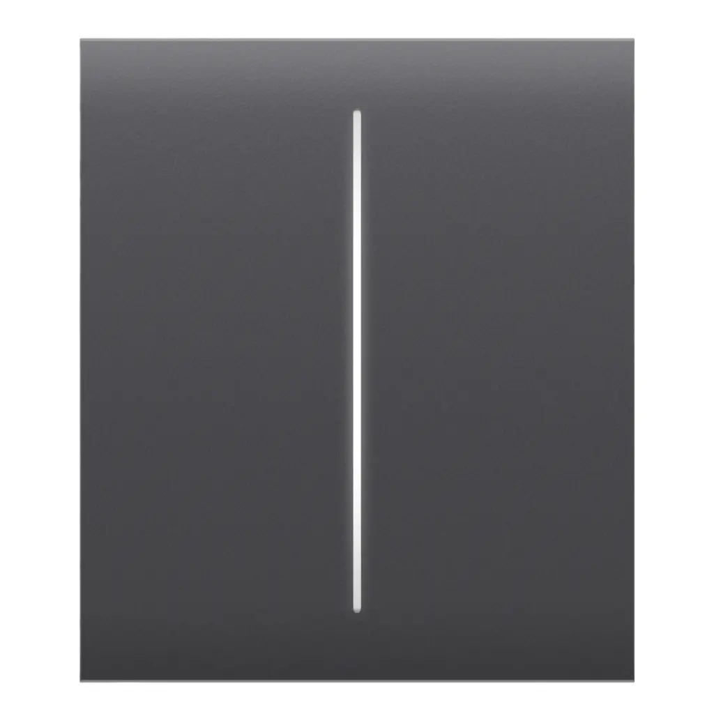 Ajax SideButton (2-gang) [55] - graphite (46022.143.GP)